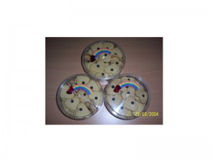 kue hati